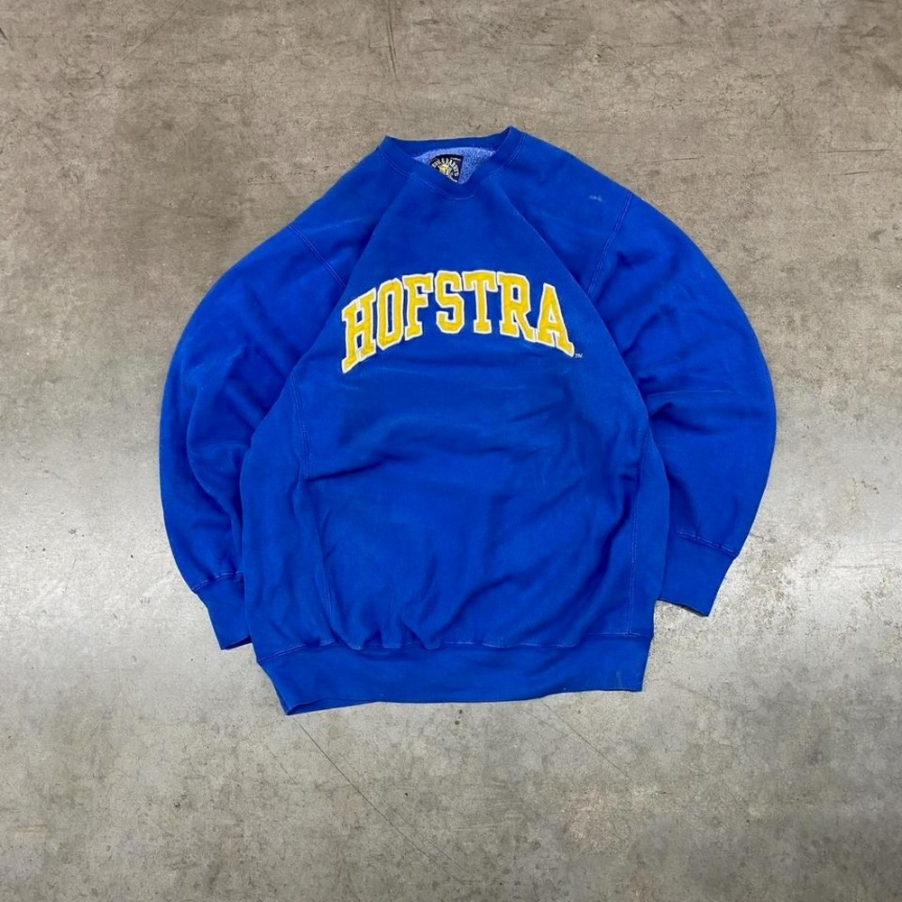 Steve & Barry's Hofstra University Crewneck Y2K Collegiate Boxy Fit‎ XL